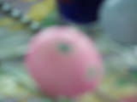 100_6061.jpg